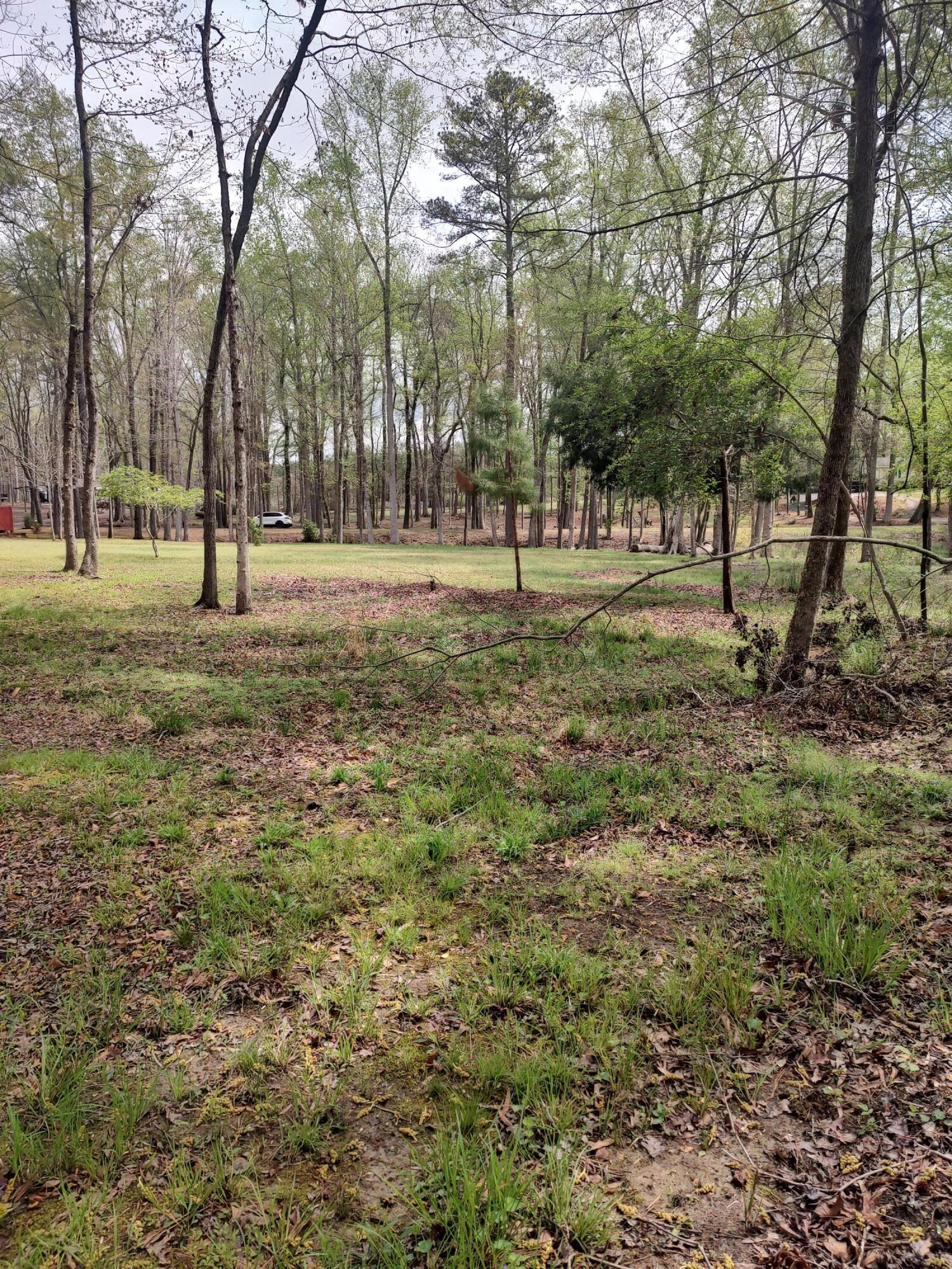 Lot 7 Stonehenge Circle Edgefield, SC 29824 - Photo 12 of 37 IMG_20250331_124210566_HDR