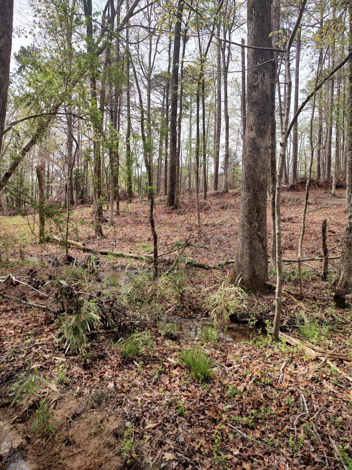 Lot 7 Stonehenge Circle Edgefield, SC 29824 - Photo 13 of 37 IMG_20250331_124214706_HDR