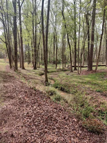 $75,000 | Lot 7 Stonehenge Circle, Edgefield, SC 29824