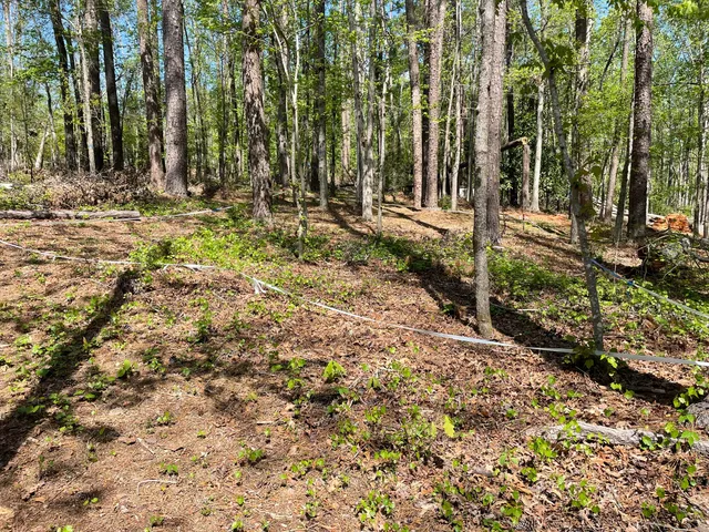$75,000 | Lot 7 Stonehenge Circle, Edgefield, SC 29824