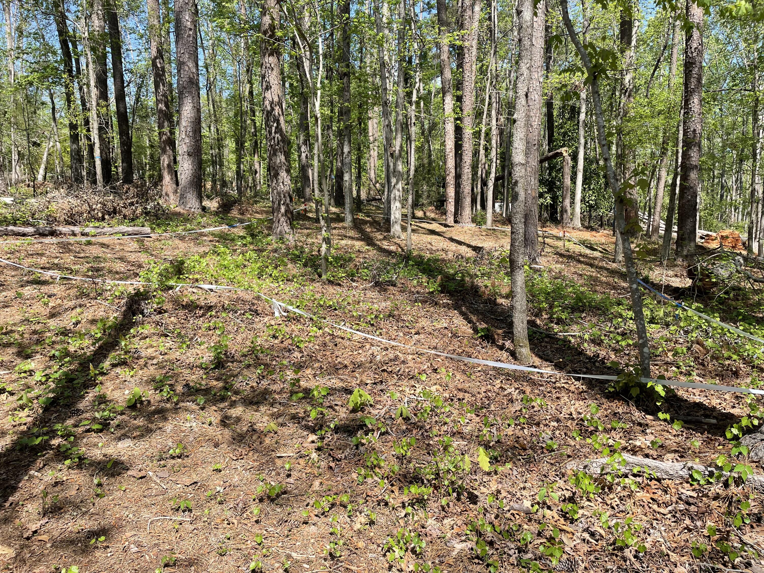 Lot 7 Stonehenge Circle Edgefield, SC 29824 - Photo 19 of 37 IMG_1938