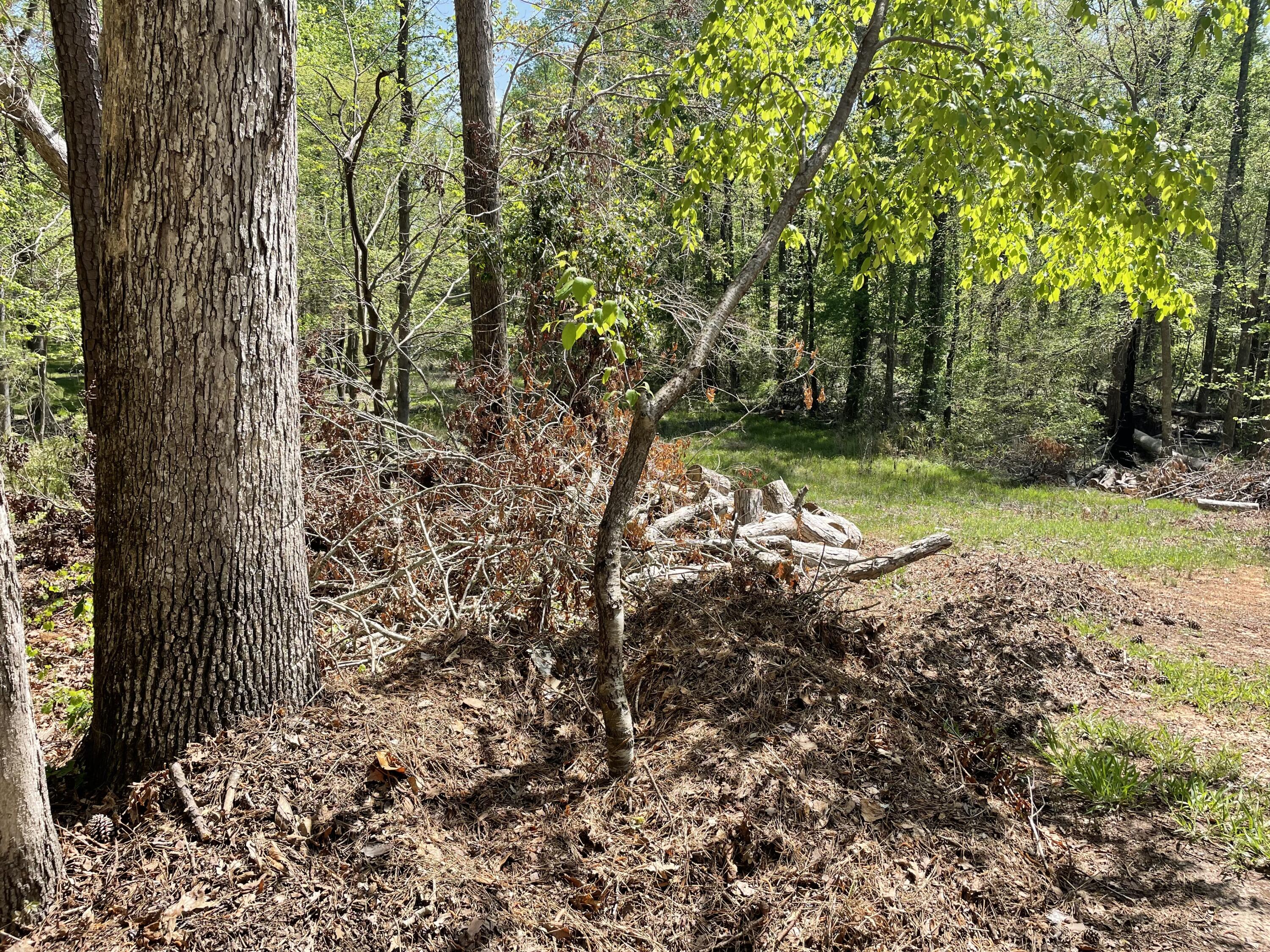 Lot 7 Stonehenge Circle Edgefield, SC 29824 - Photo 20 of 37 IMG_1940