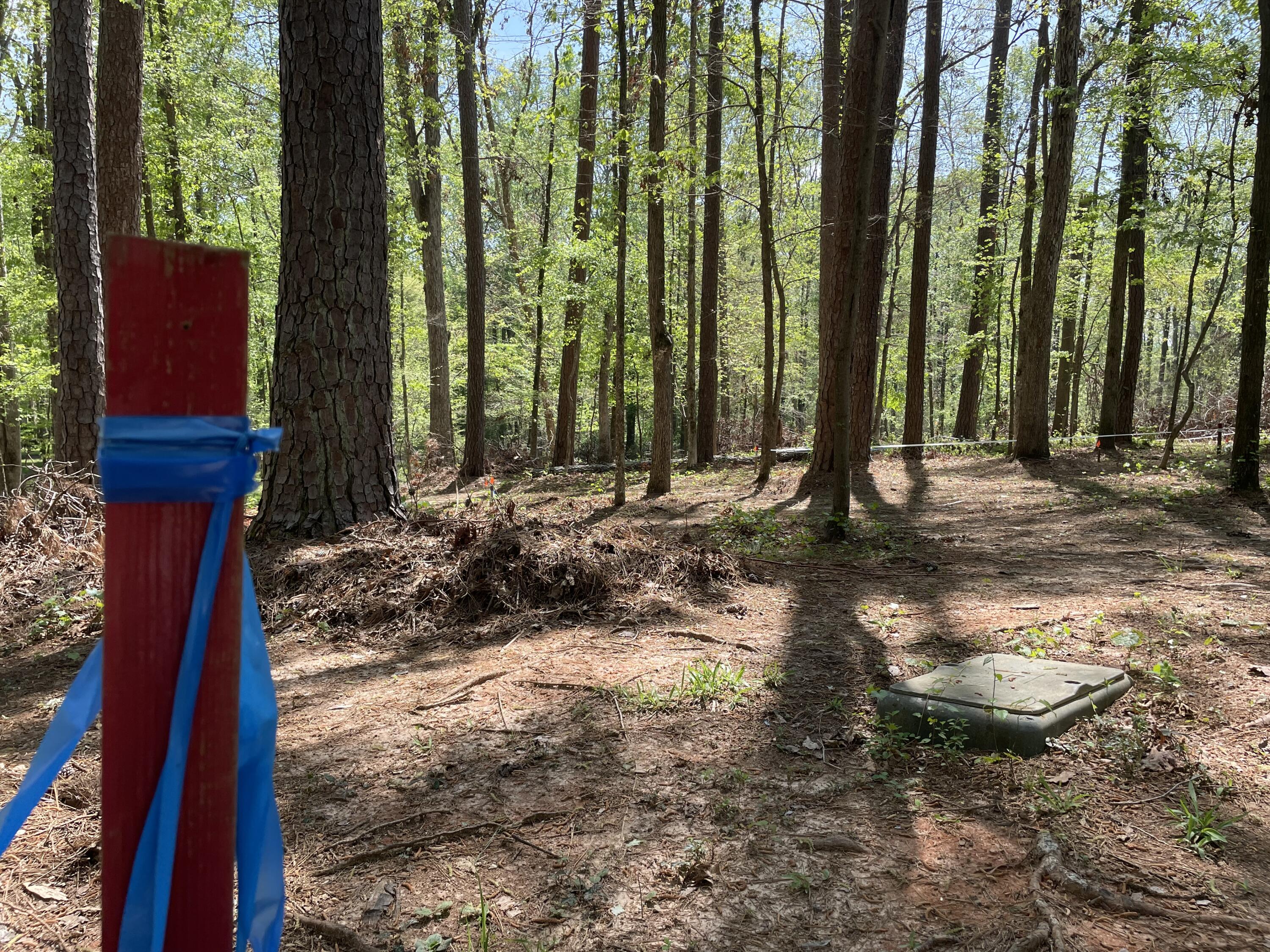 Lot 7 Stonehenge Circle Edgefield, SC 29824 - Photo 2 of 37 IMG_1952