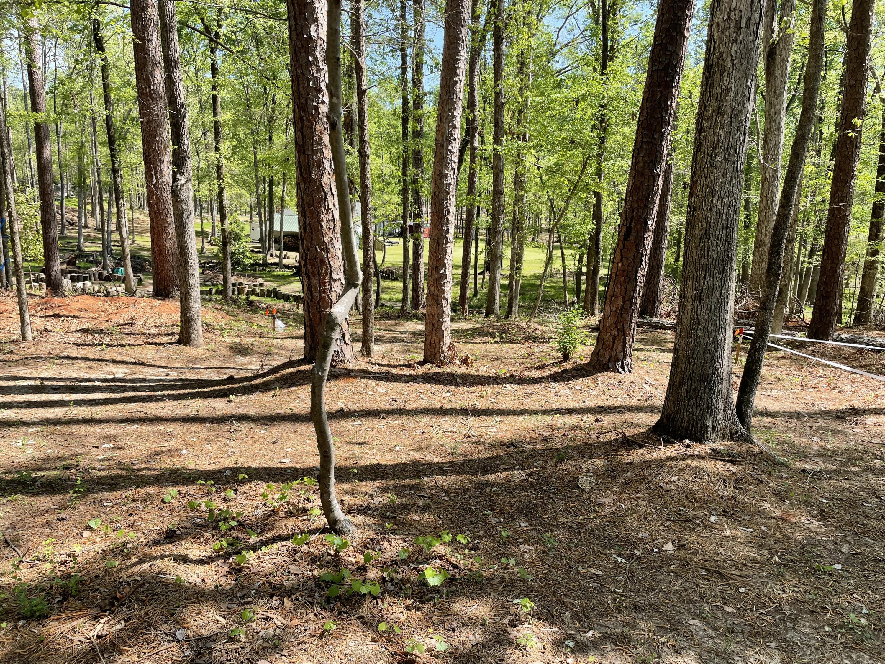 Lot 7 Stonehenge Circle Edgefield, SC 29824 - Photo 23 of 37 IMG_1945