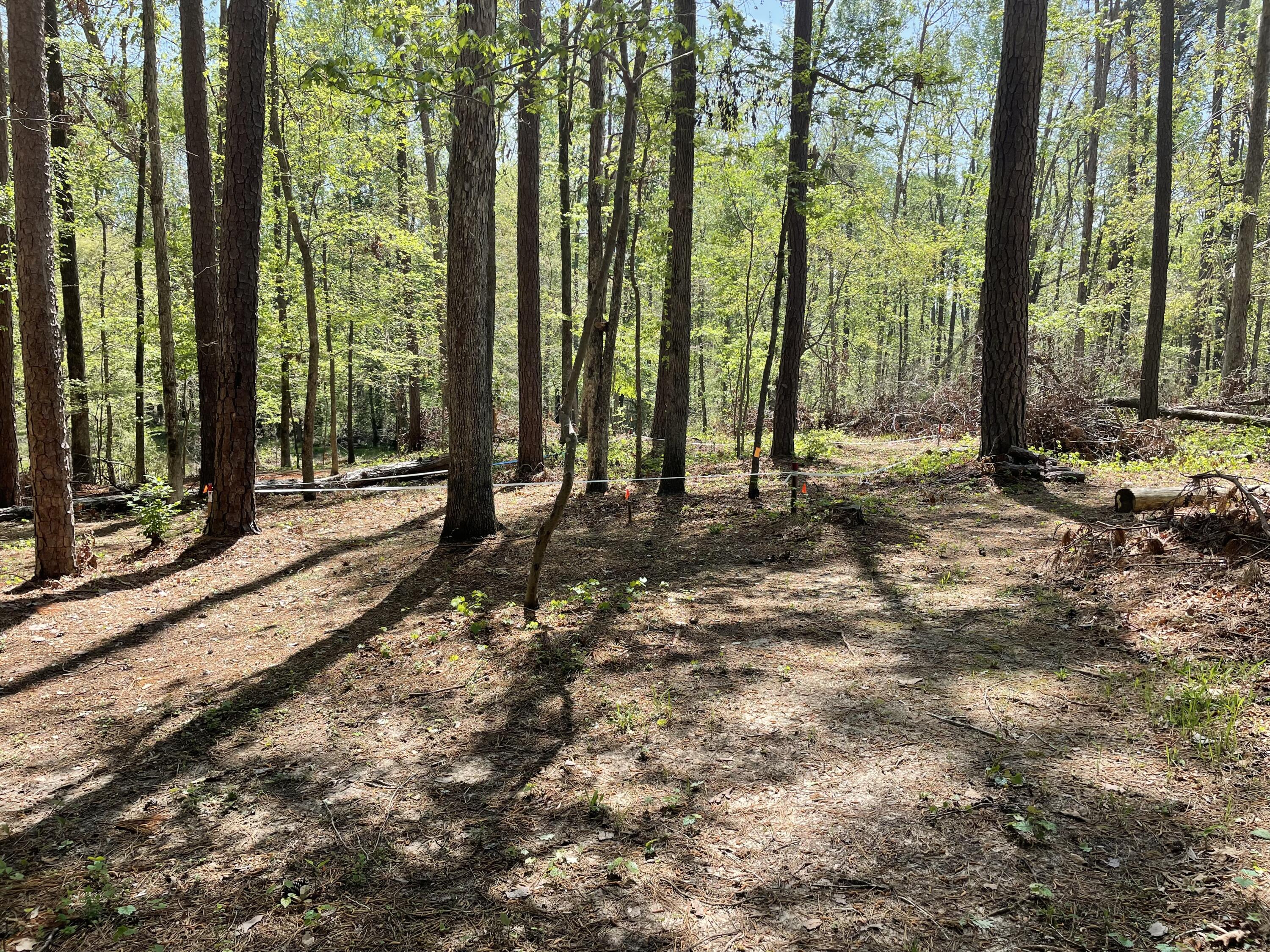 Lot 7 Stonehenge Circle Edgefield, SC 29824 - Photo 24 of 37 IMG_1947