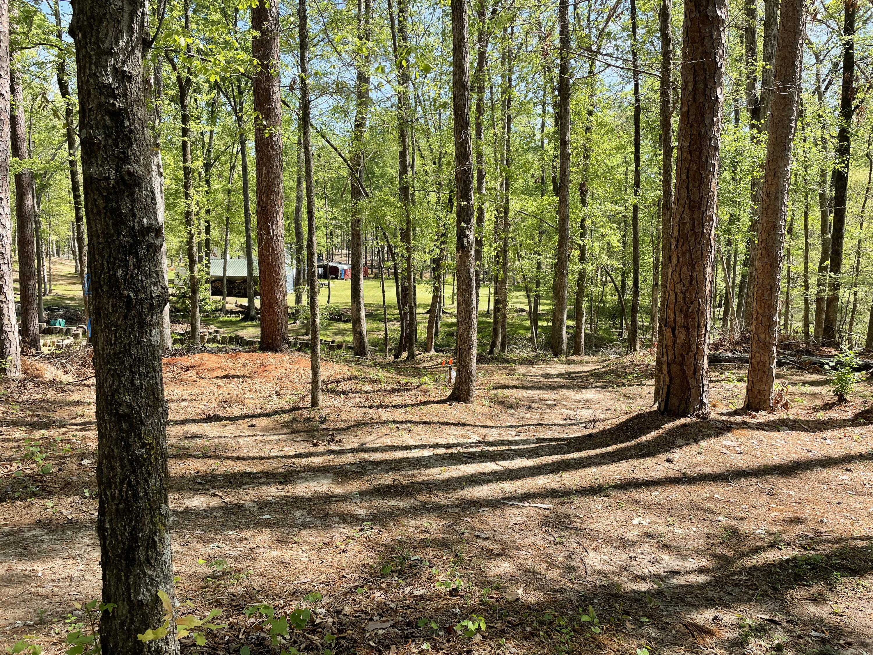 Lot 7 Stonehenge Circle Edgefield, SC 29824 - Photo 25 of 37 IMG_1948