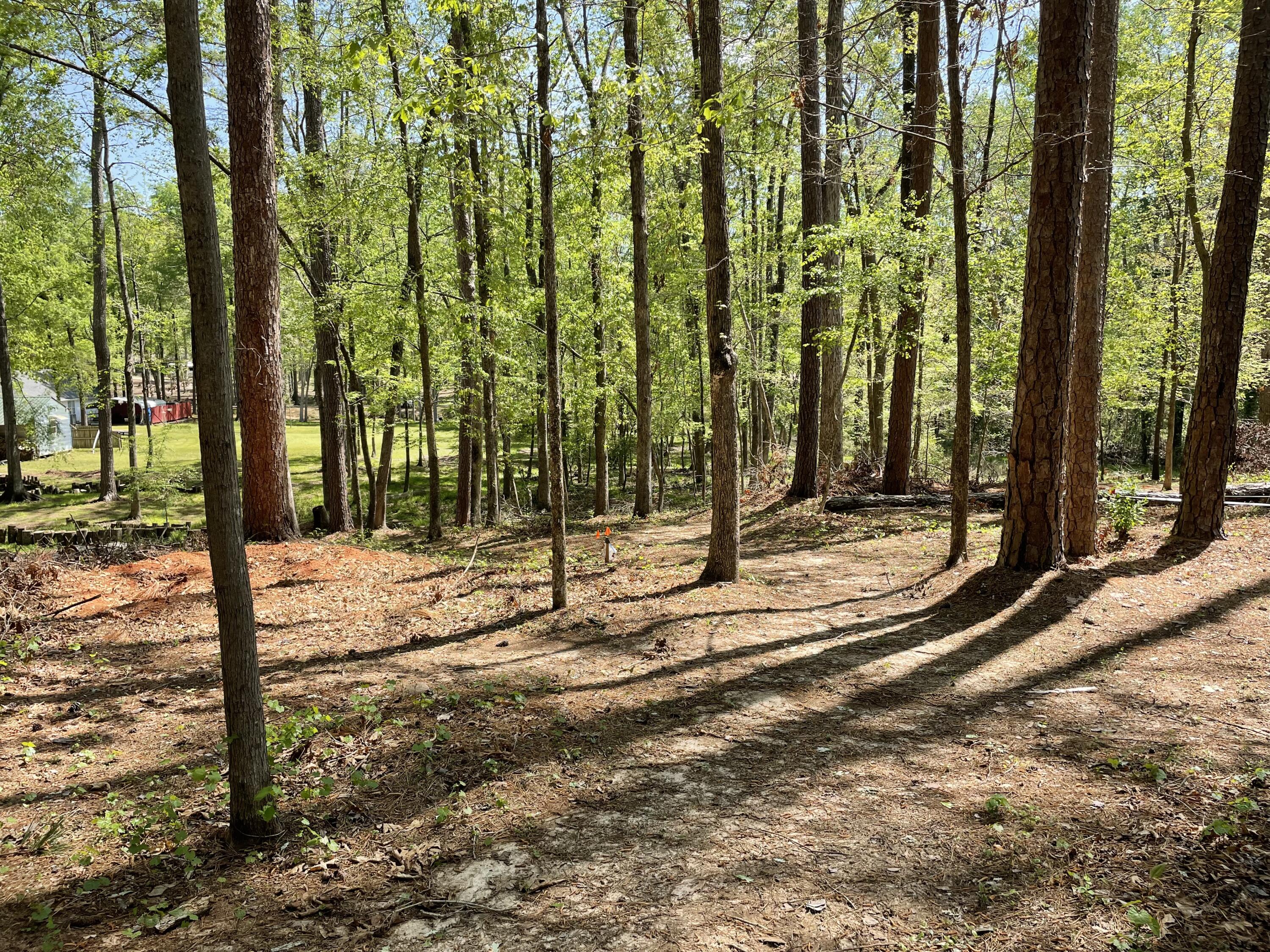 Lot 7 Stonehenge Circle Edgefield, SC 29824 - Photo 26 of 37 IMG_1949