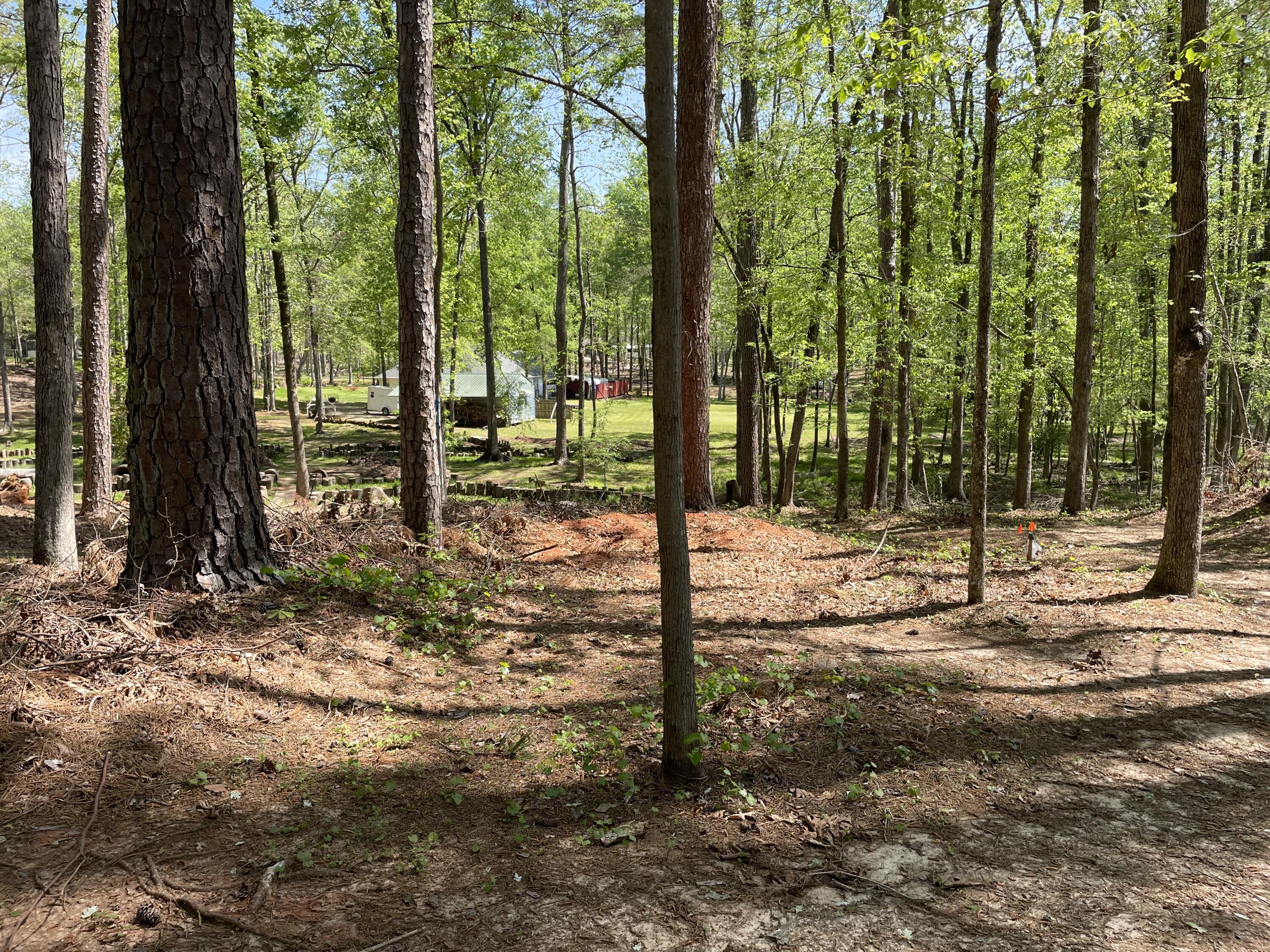 Lot 7 Stonehenge Circle Edgefield, SC 29824 - Photo 29 of 37 IMG_1950