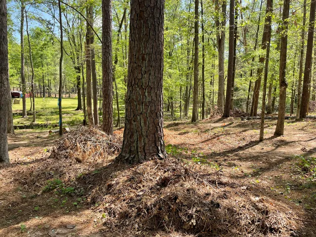 $75,000 | Lot 7 Stonehenge Circle, Edgefield, SC 29824