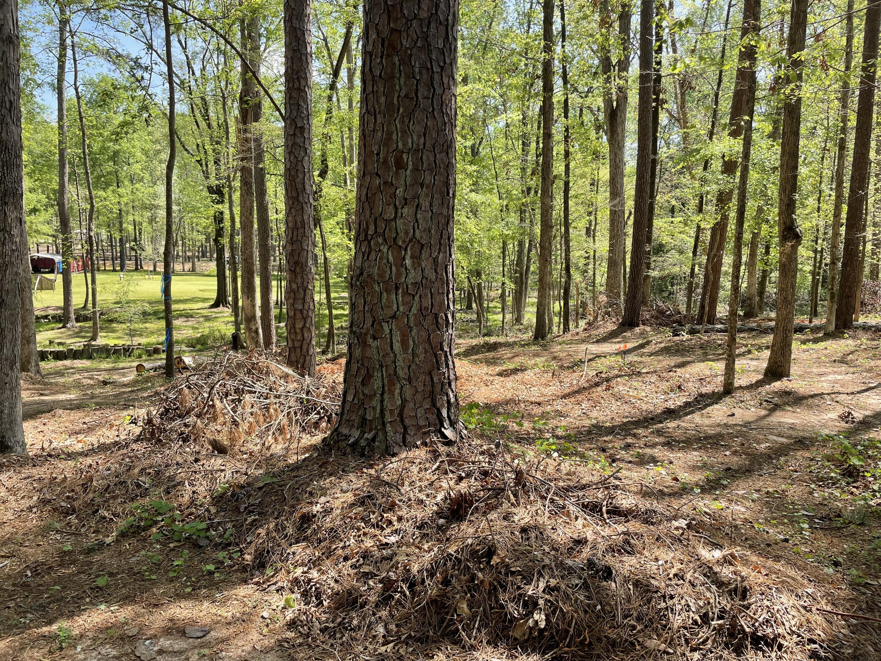 Lot 7 Stonehenge Circle Edgefield, SC 29824 - Photo 30 of 37 IMG_1960
