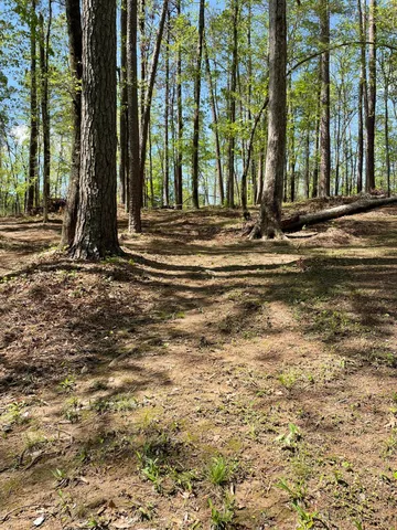 $75,000 | Lot 7 Stonehenge Circle, Edgefield, SC 29824