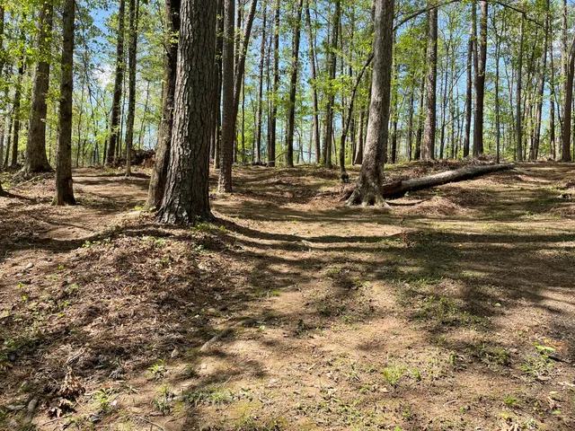 $75,000 | Lot 7 Stonehenge Circle, Edgefield, SC 29824