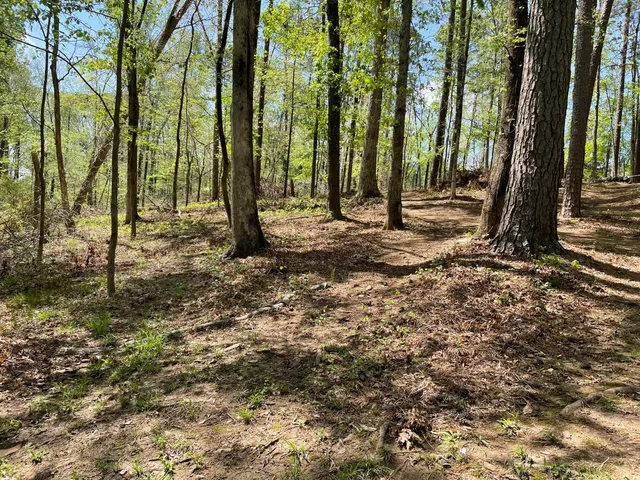 $75,000 | Lot 7 Stonehenge Circle, Edgefield, SC 29824