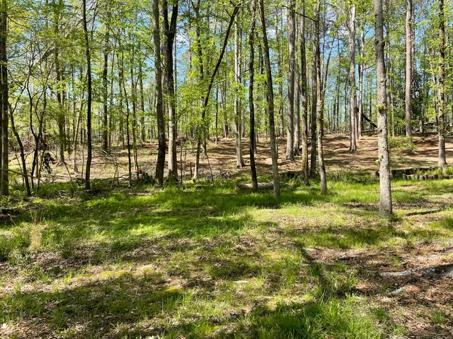 $75,000 | Lot 7 Stonehenge Circle, Edgefield, SC 29824