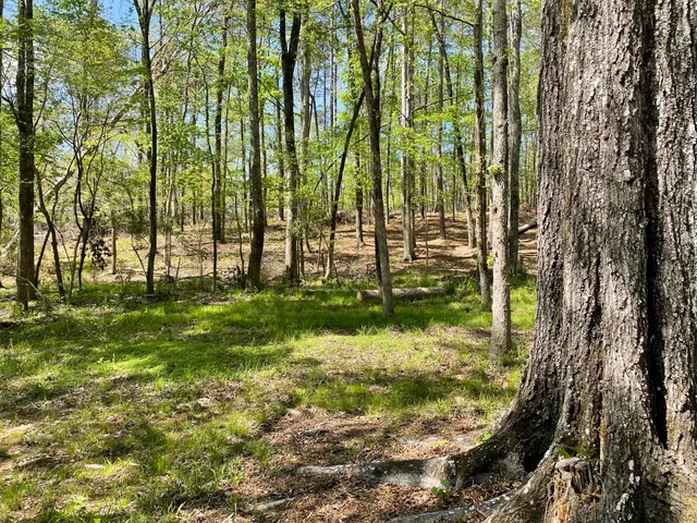 $75,000 | Lot 7 Stonehenge Circle, Edgefield, SC 29824