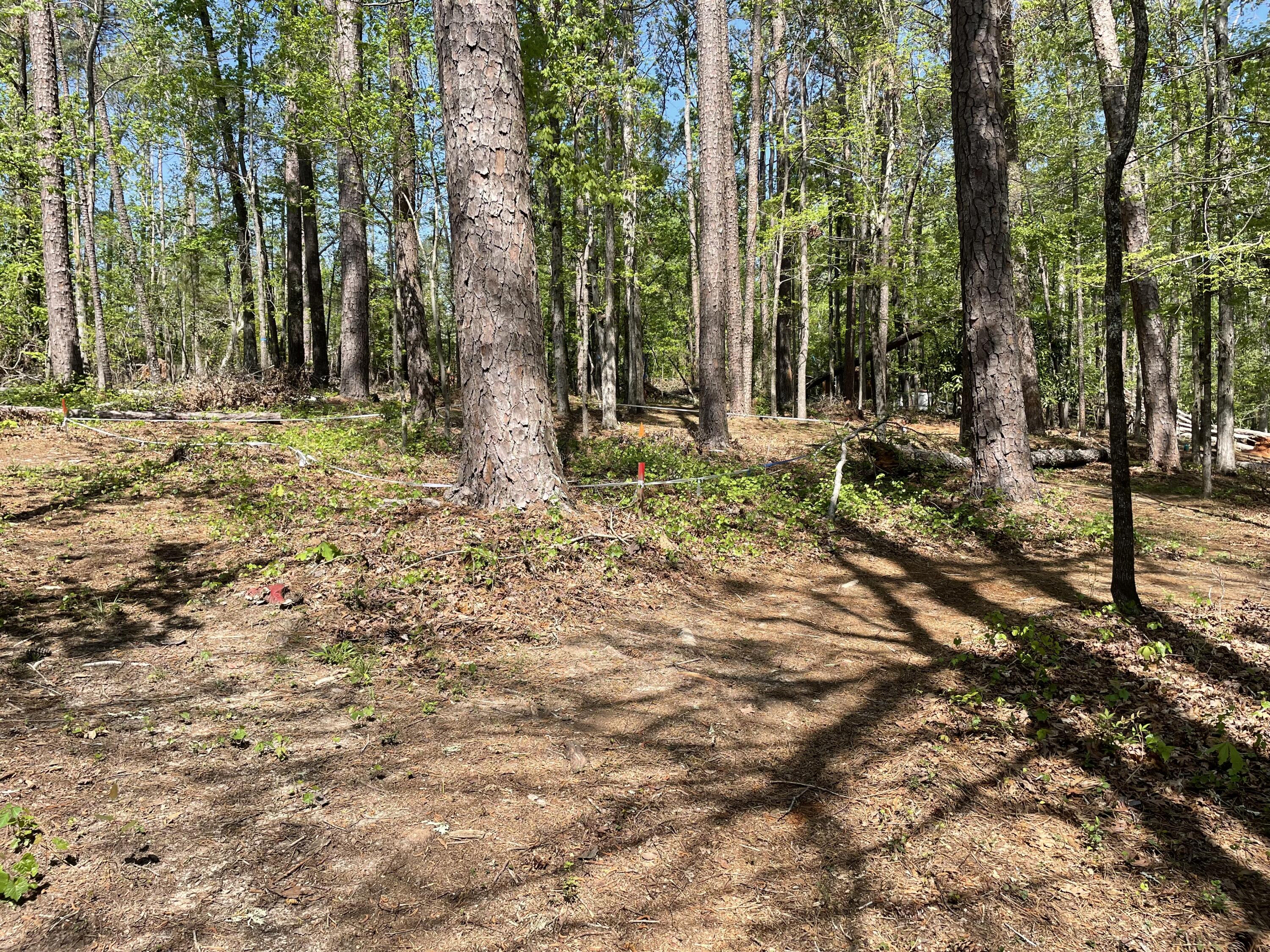 Lot 7 Stonehenge Circle Edgefield, SC 29824 - Photo 8 of 37 IMG_1939