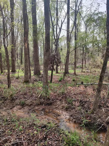 $75,000 | Lot 7 Stonehenge Circle, Edgefield, SC 29824