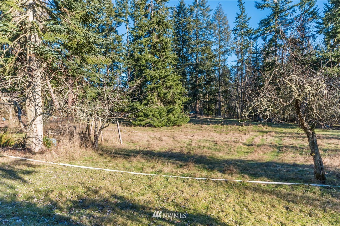 1004 Rehberg Road Greenbank, WA 98253 - Photo 21 of 22 Gallery Image 21