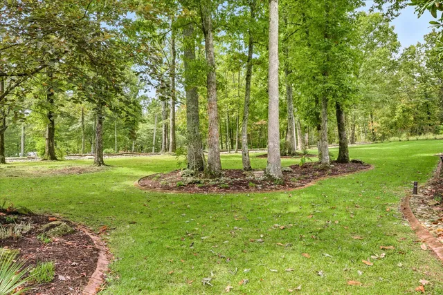 a view of swimming pool that has lawn chairs with plants and trees