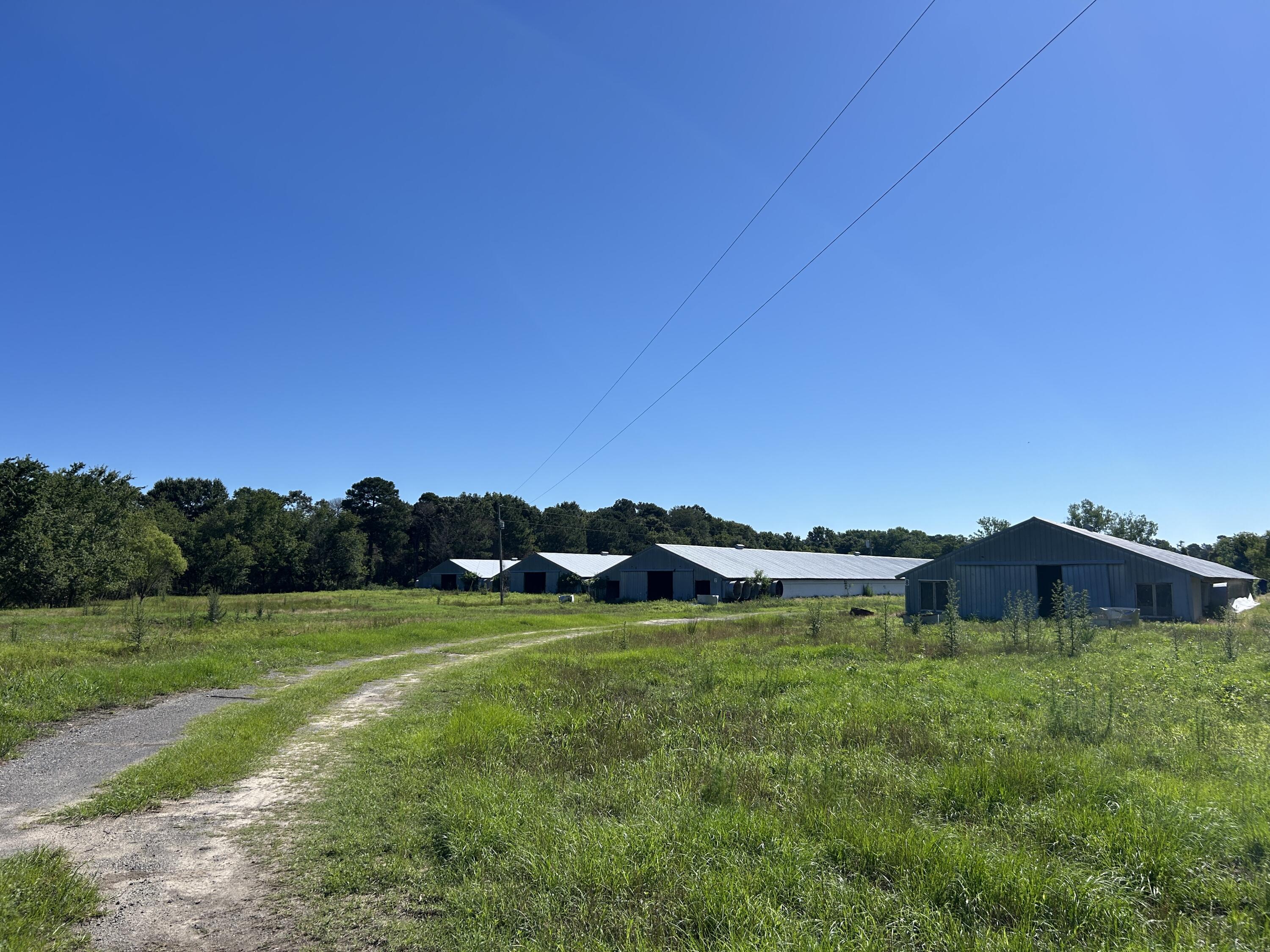 0 Holladay Road Manning, SC 29102 - Photo 35 of 35