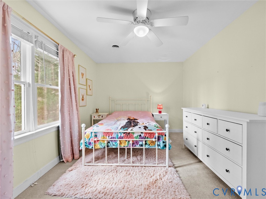 4301 Tweedsmuir Road Moseley, VA 23120 - Photo 34 of 48