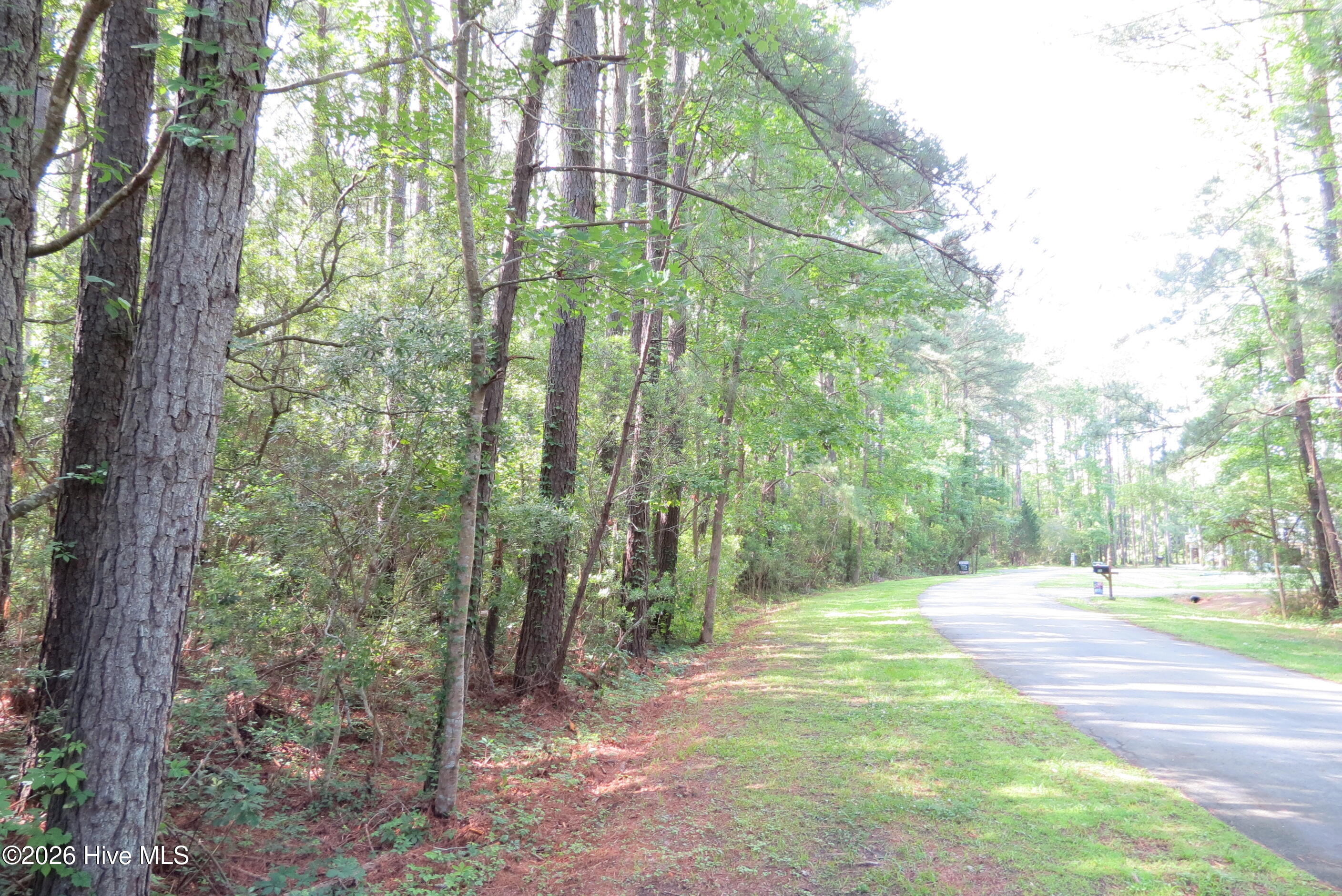 0 Teal Road Merritt, NC 28556 - Photo 4 of 14 IMG_2933