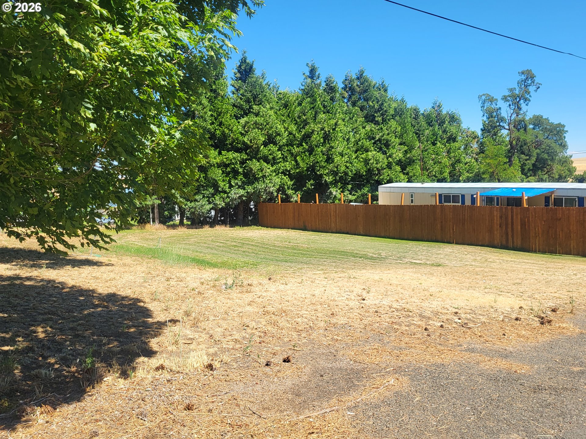 607 Court Street Moro, OR 97039 - Photo 3 of 8