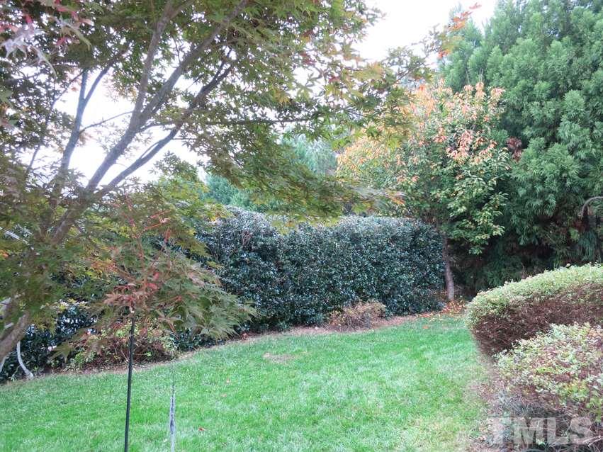 3205 Canes Way Raleigh, NC 27614 - Photo 23 of 25 The backyard is private & wooded.