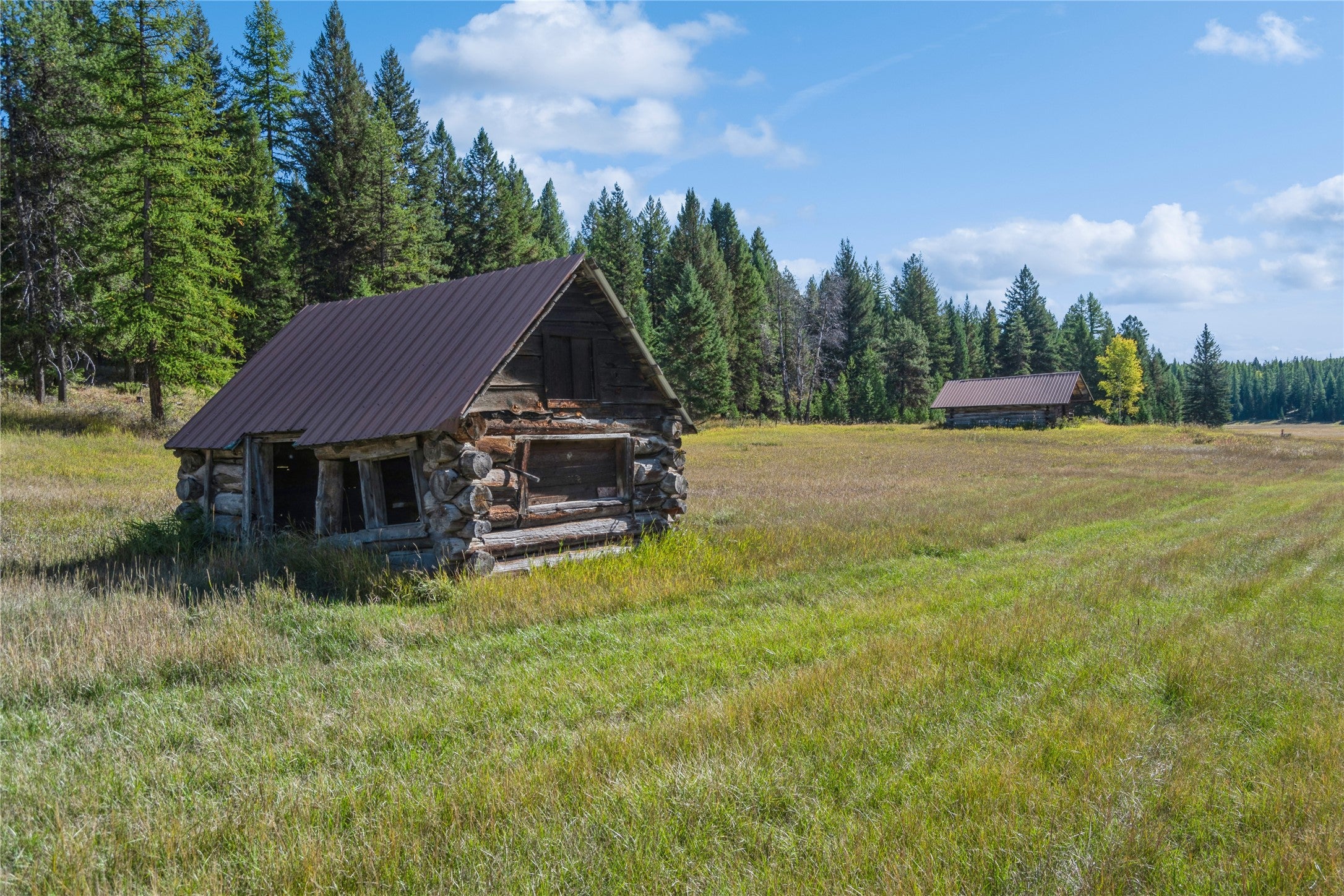 3217 Loon Lake Road Trego, MT 59934 - Photo 14 of 39 Gallery Image 14