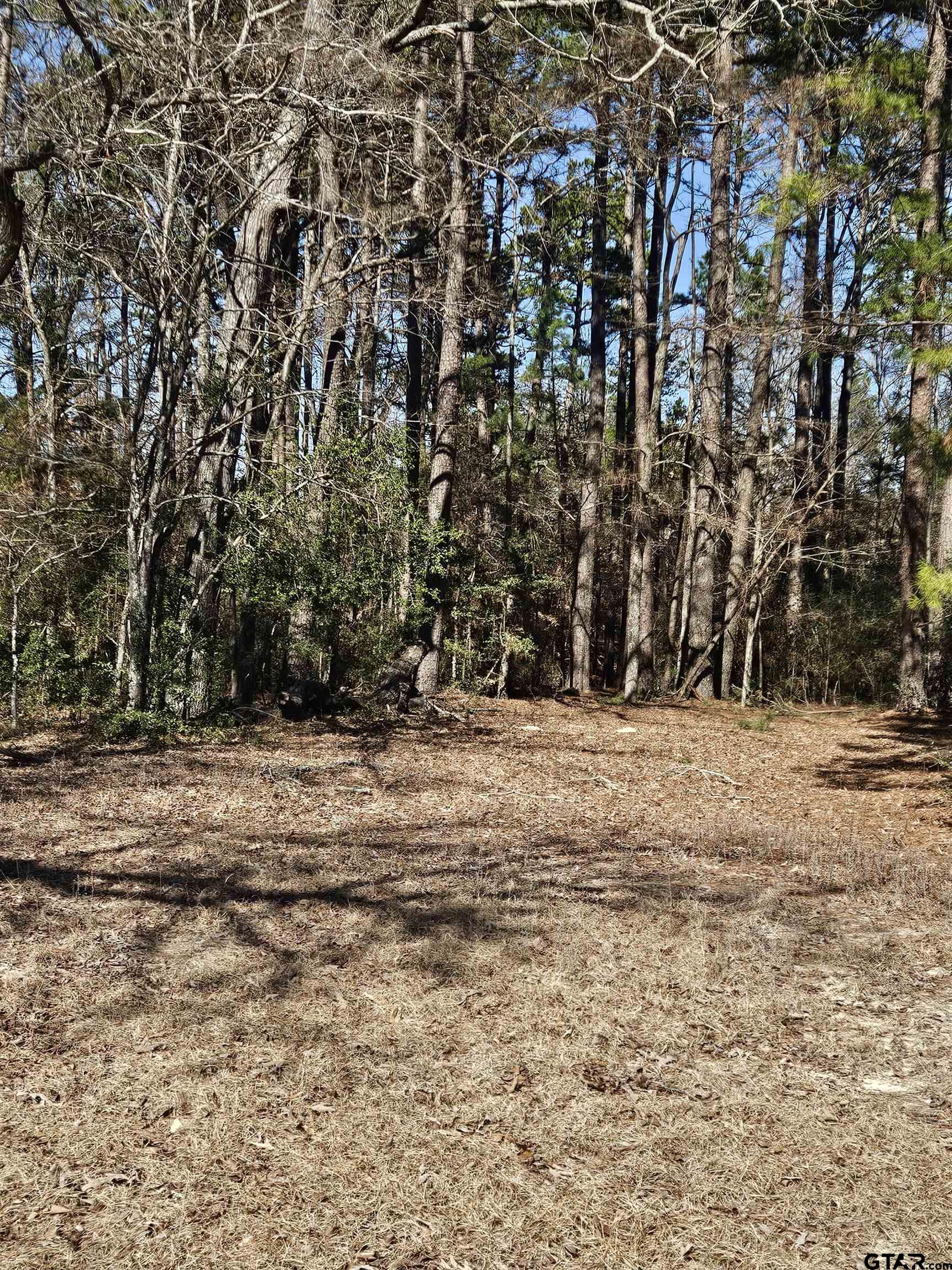 5542 Farm To Market Road 752 Rusk, TX 75785 - Photo 12 of 41 a view of large trees