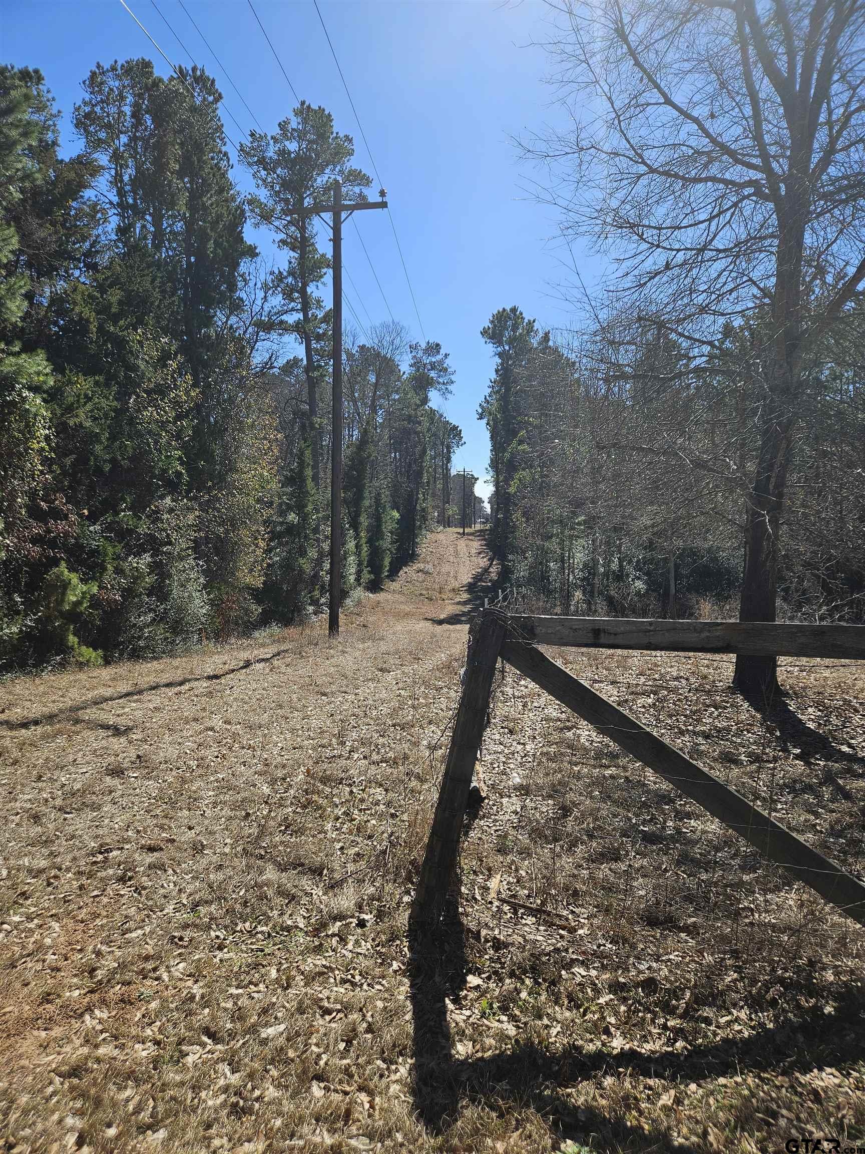 5542 Farm To Market Road 752 Rusk, TX 75785 - Photo 24 of 41 a view of a yard with a tree