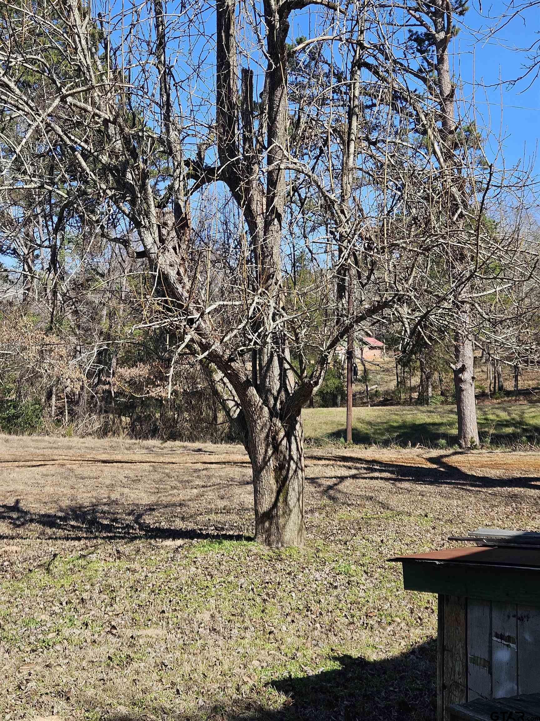5542 Farm To Market Road 752 Rusk, TX 75785 - Photo 35 of 41 a view of a backyard with large trees