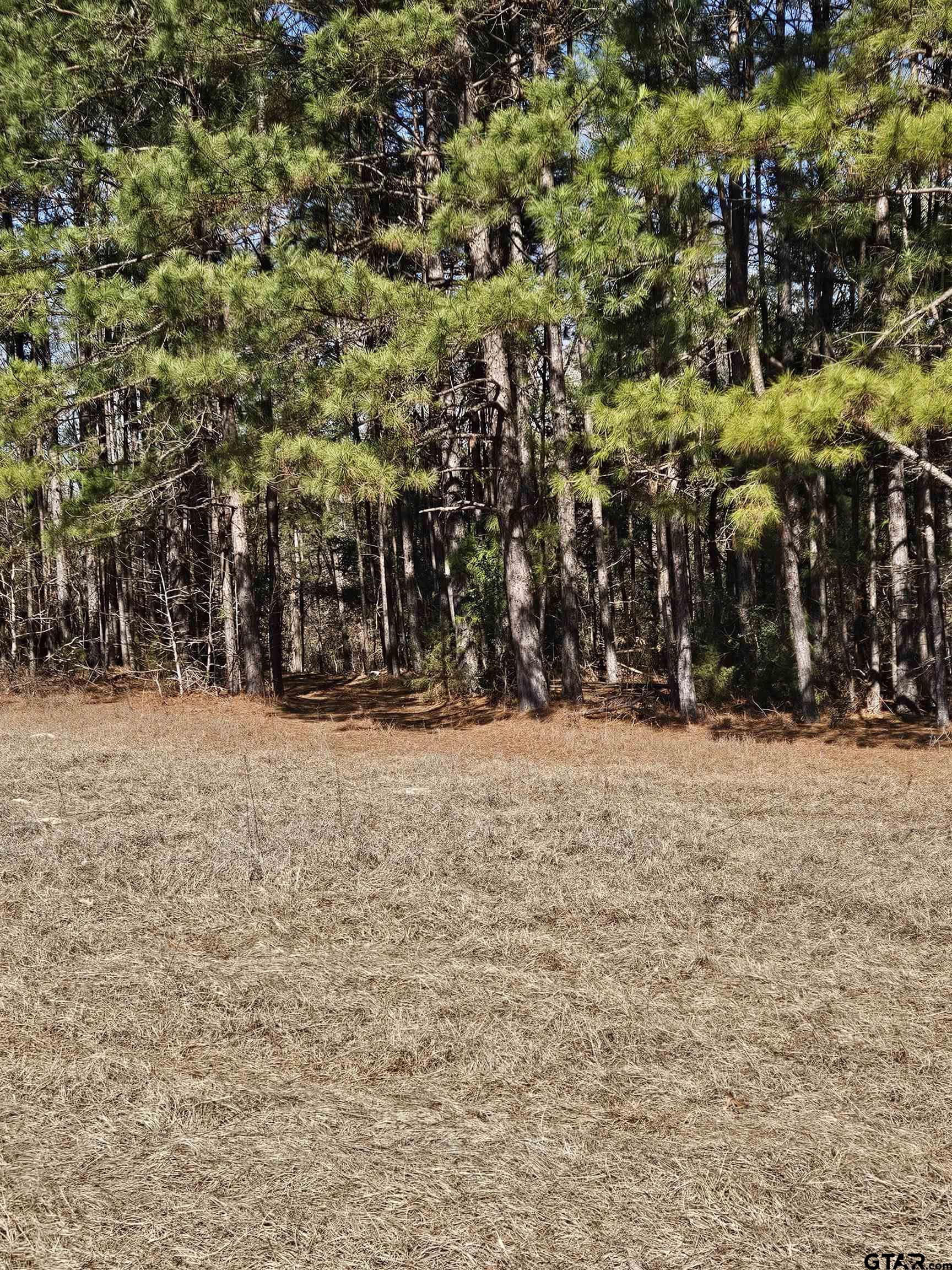 5542 Farm To Market Road 752 Rusk, TX 75785 - Photo 37 of 41 a view of water covered with tall trees