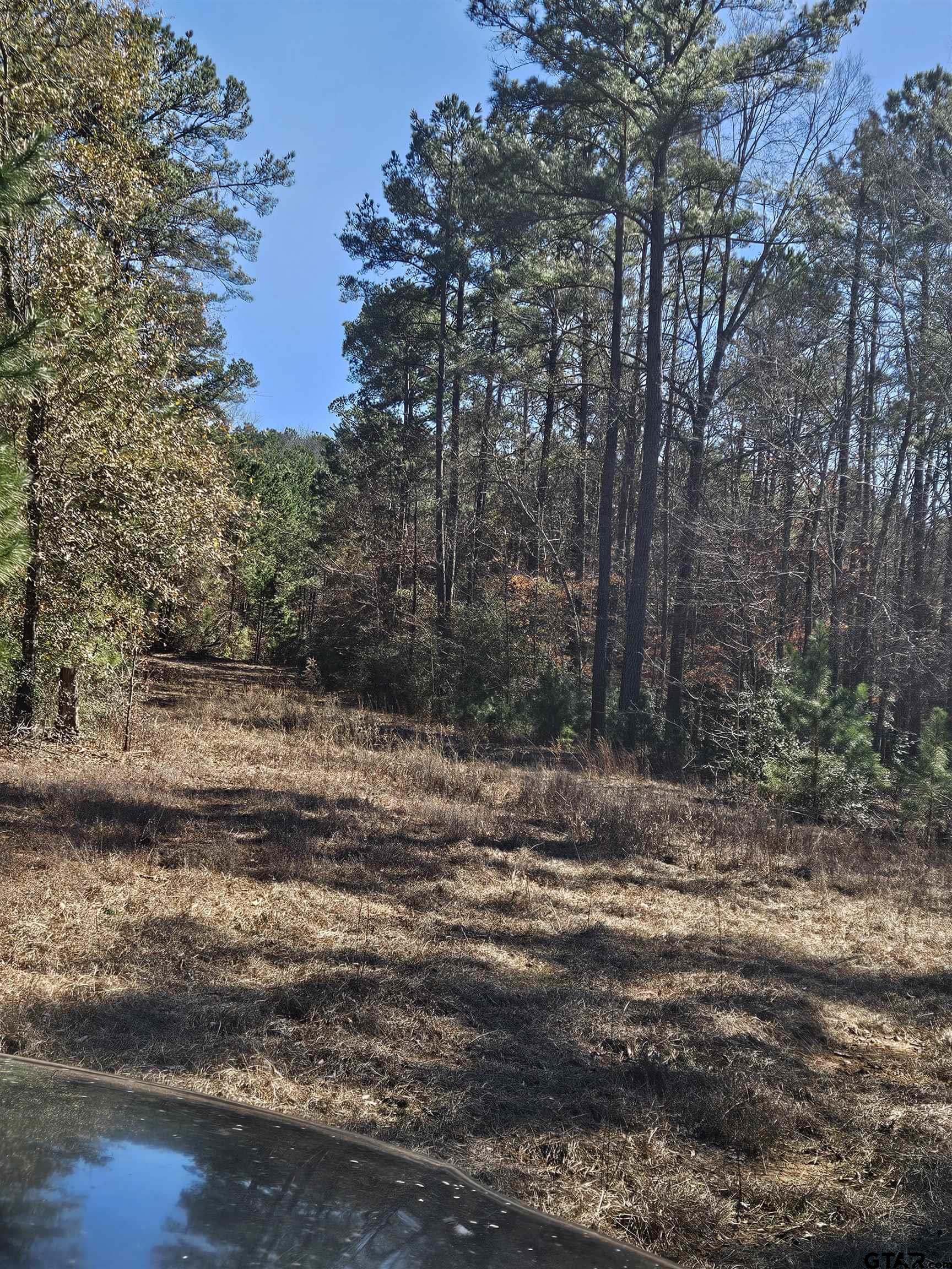 5542 Farm To Market Road 752 Rusk, TX 75785 - Photo 39 of 41 a view of a yard with a tree