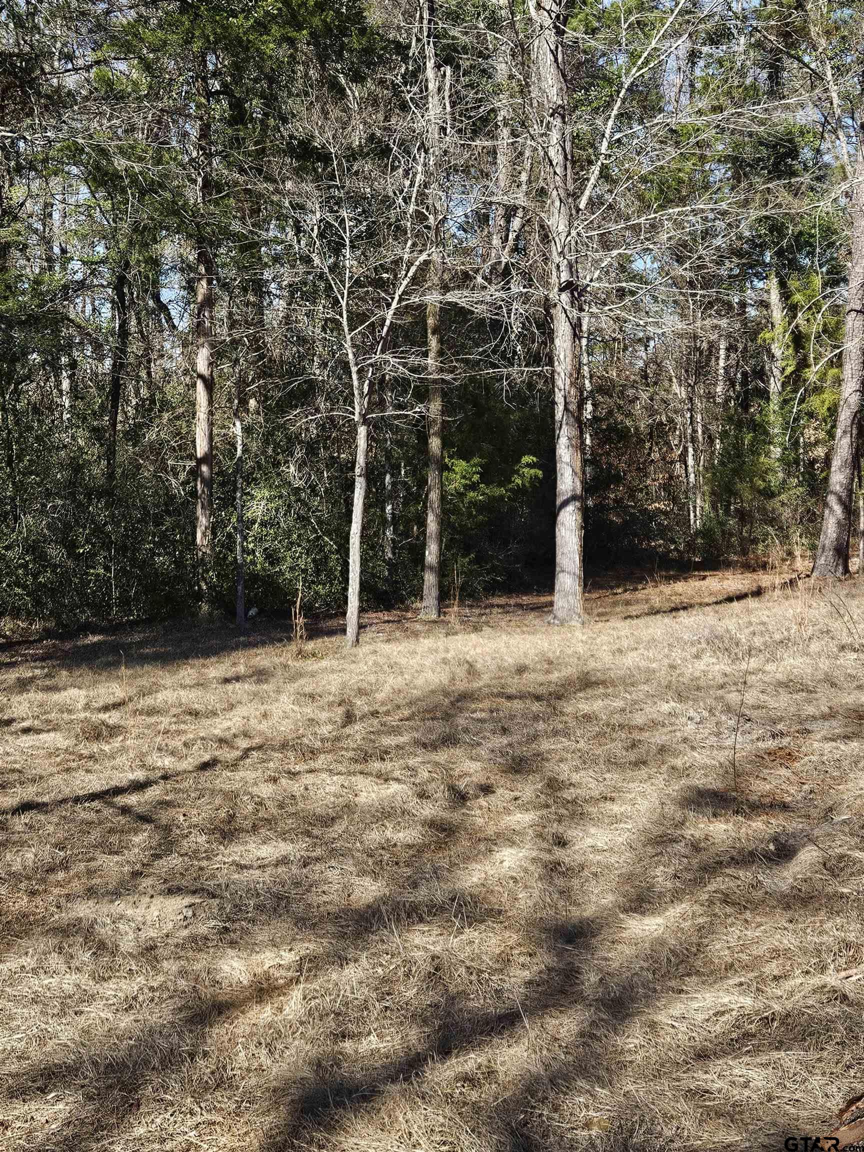 5542 Farm To Market Road 752 Rusk, TX 75785 - Photo 39 of 41 a view of outdoor space with trees