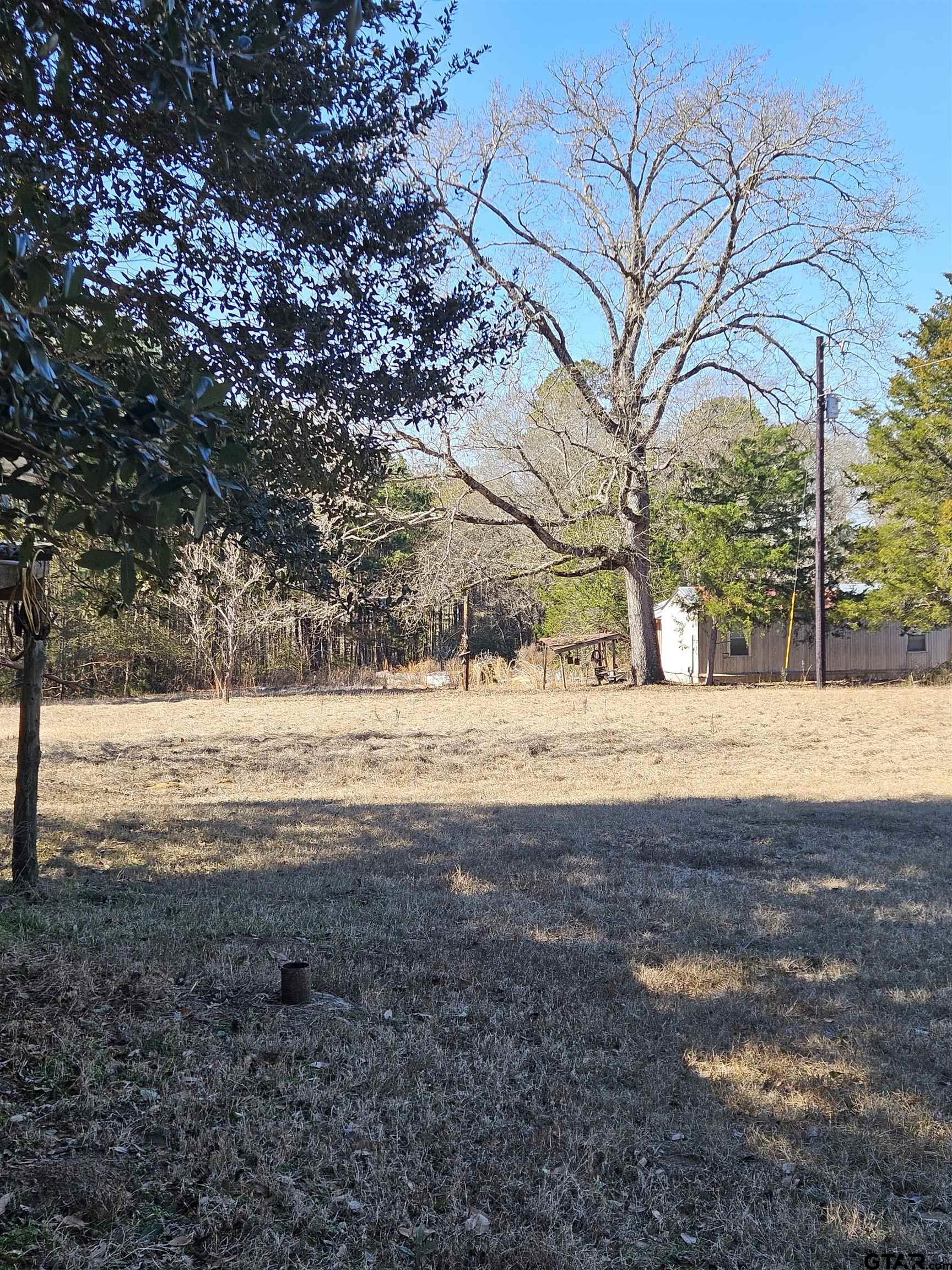 5542 Farm To Market Road 752 Rusk, TX 75785 - Photo 41 of 41 a view of yard with trees