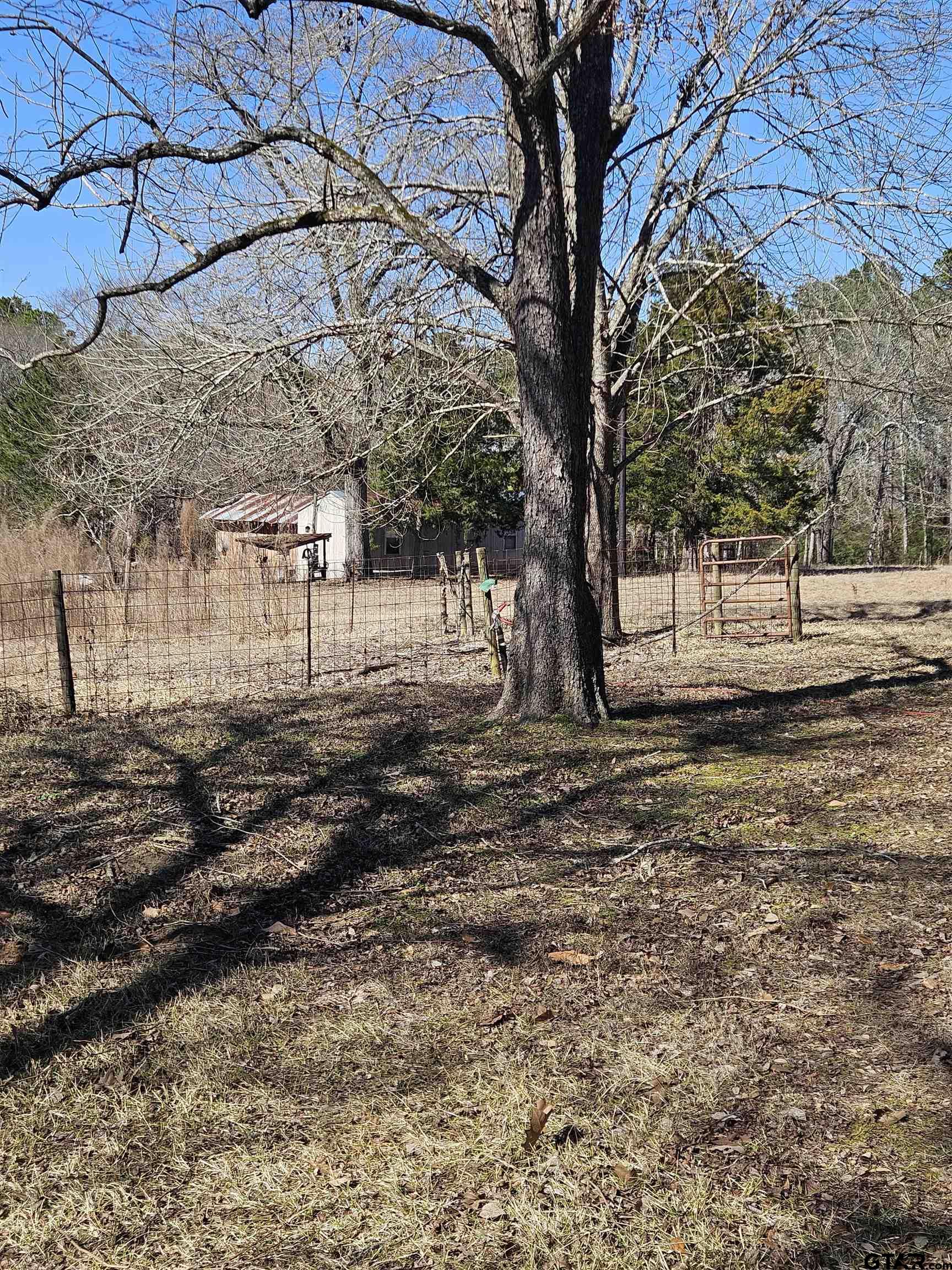 5542 Farm To Market Road 752 Rusk, TX 75785 - Photo 7 of 41 a view of a yard with a tree