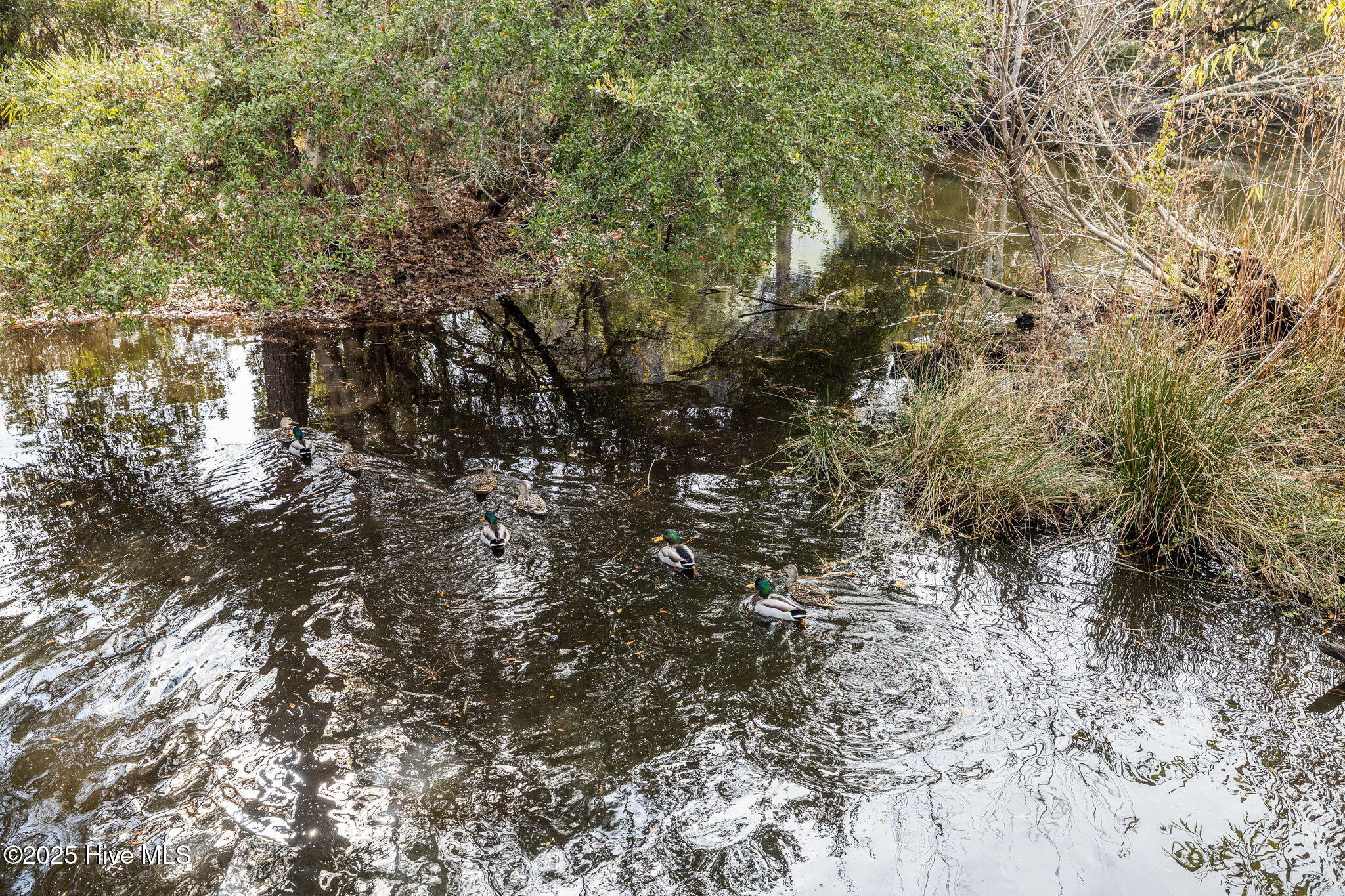 320 Governor Safford Lane Emerald Isle, NC 28594 - Photo 68 of 85 Turtle Pond