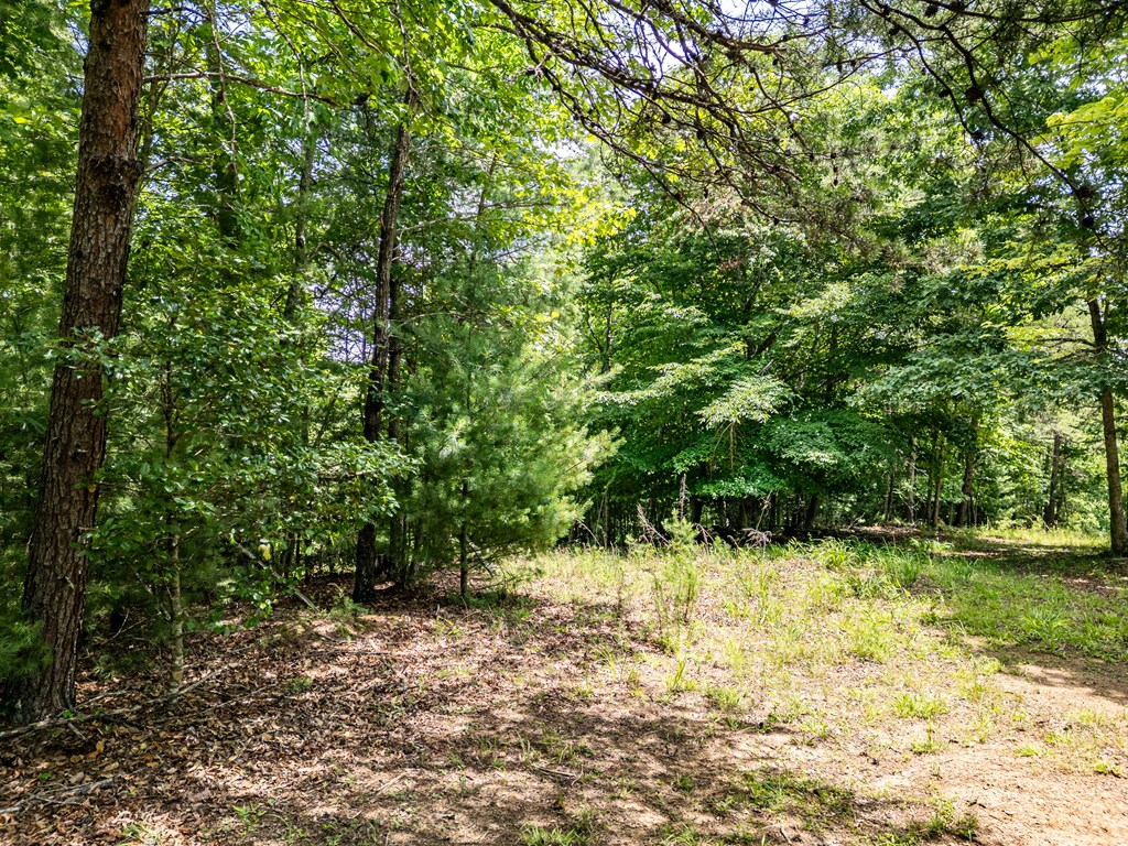 2 Stormy Ridge Brasstown, NC 28902 - Photo 4 of 16