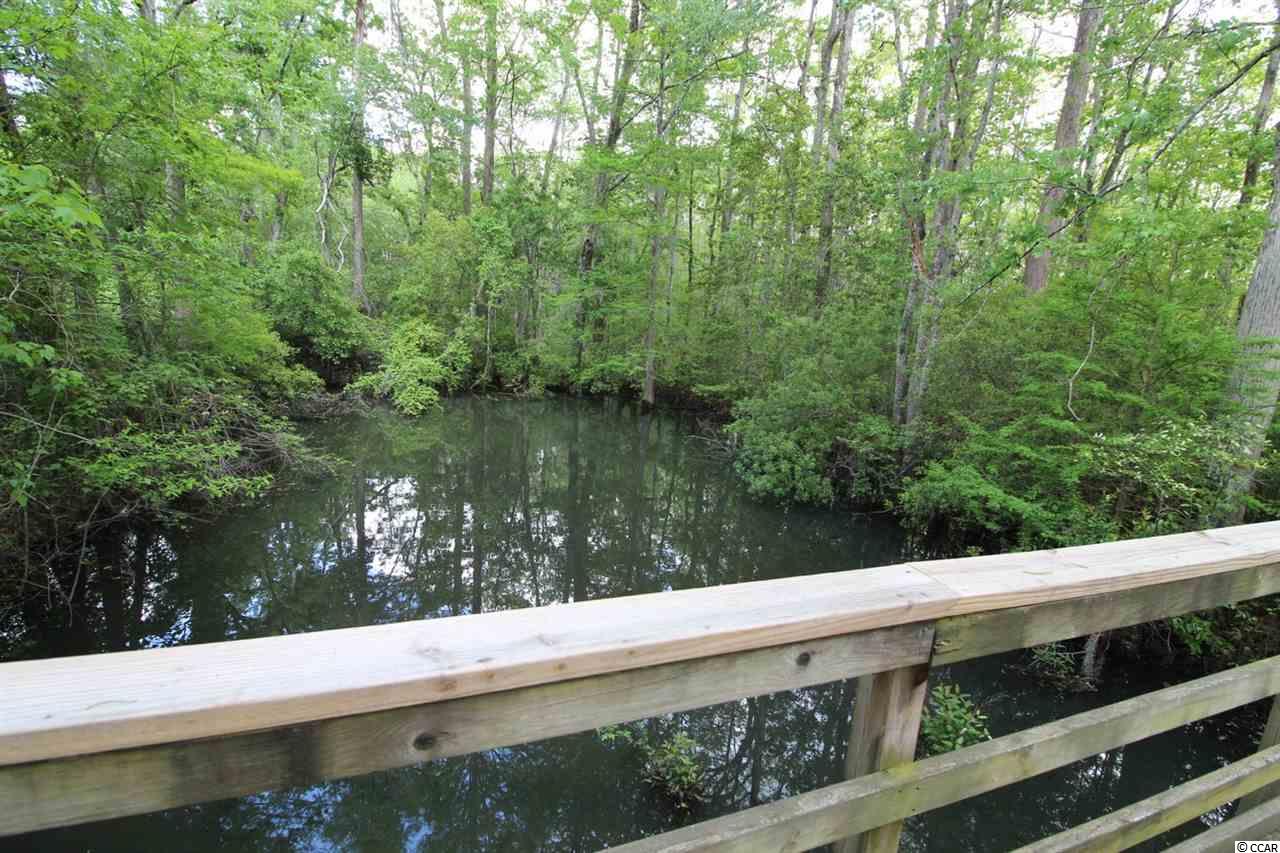 6022 Highway 544, Unit 201 Myrtle Beach, SC 29588 - Photo 25 of 32