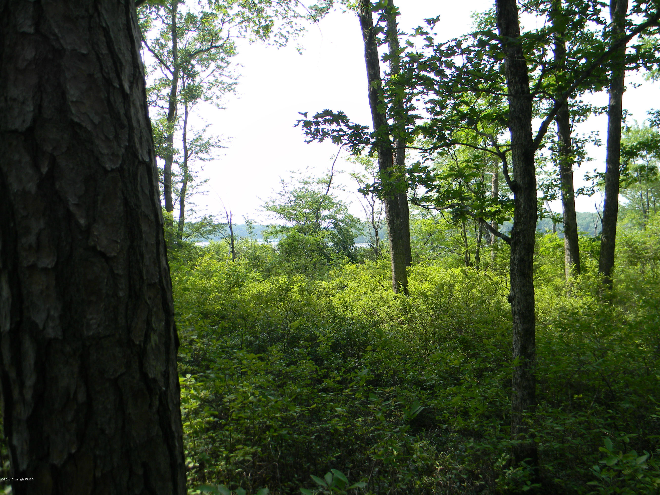 241 Doe Loop Bushkill, PA 18324 - Photo 38 of 47 behind lake, public lake