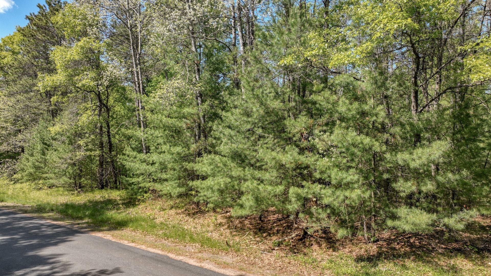 8667 Lakeside Road Willard, WI 54493 - Photo 4 of 11