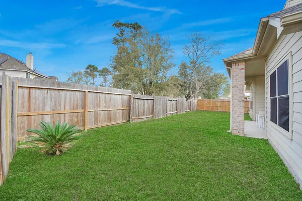 a view of a backyard with plants
