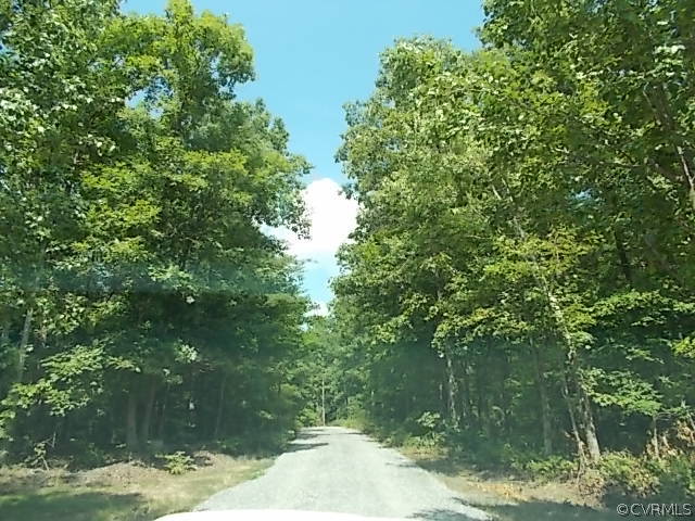 467 Carter Road Louisa, VA 23093 - Photo 8 of 10