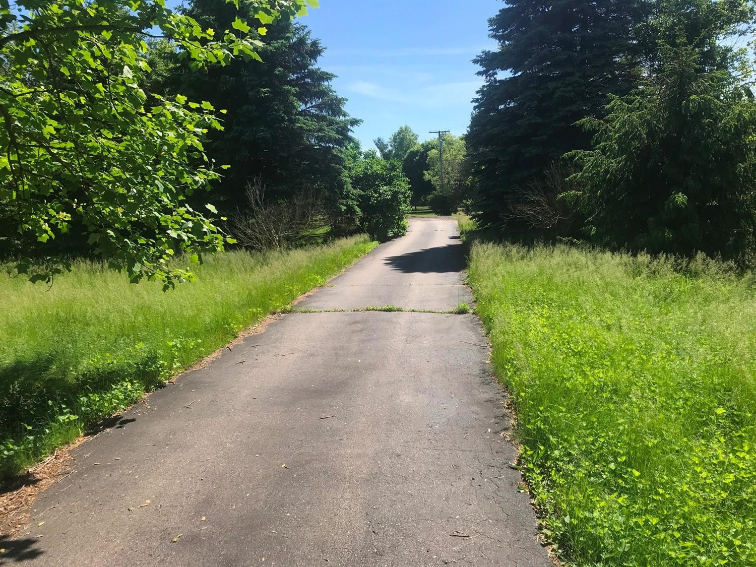 757 Country Road Ann Arbor, MI 48103 - Photo 3 of 38 Photo 3
