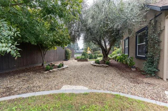 a view of a backyard with large trees and plants