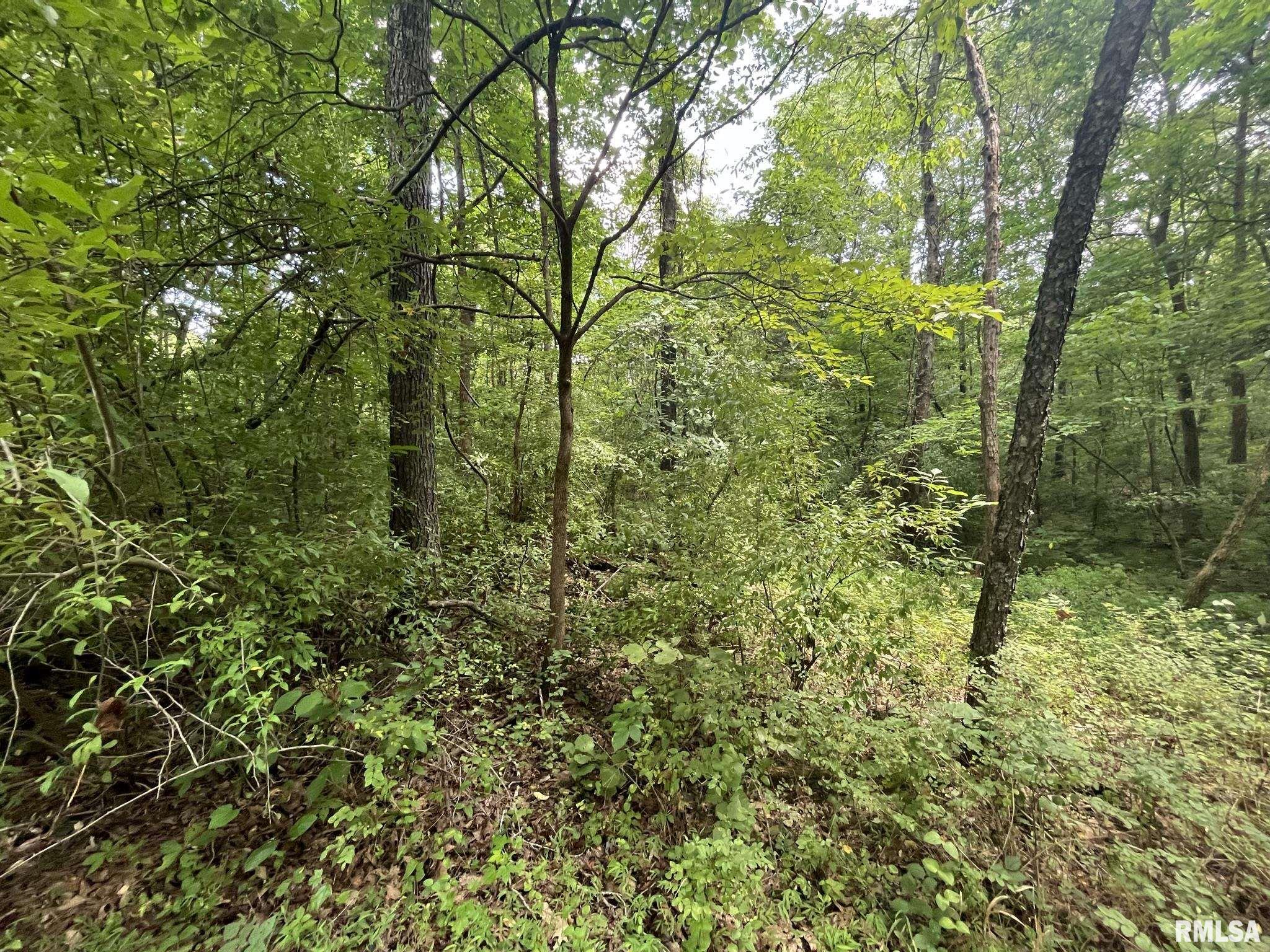 0 Lusk Road Golconda, IL 62938 - Photo 15 of 24