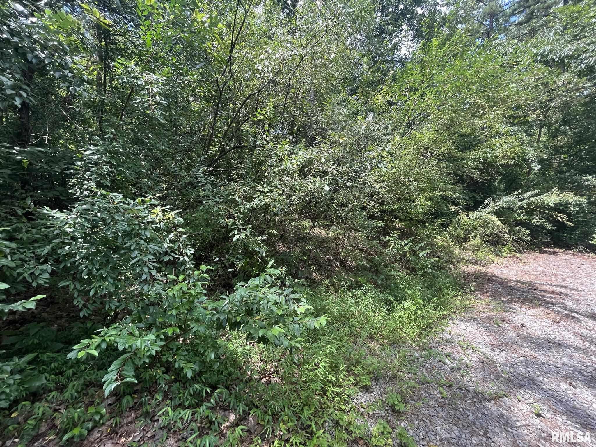 0 Lusk Road Golconda, IL 62938 - Photo 17 of 24