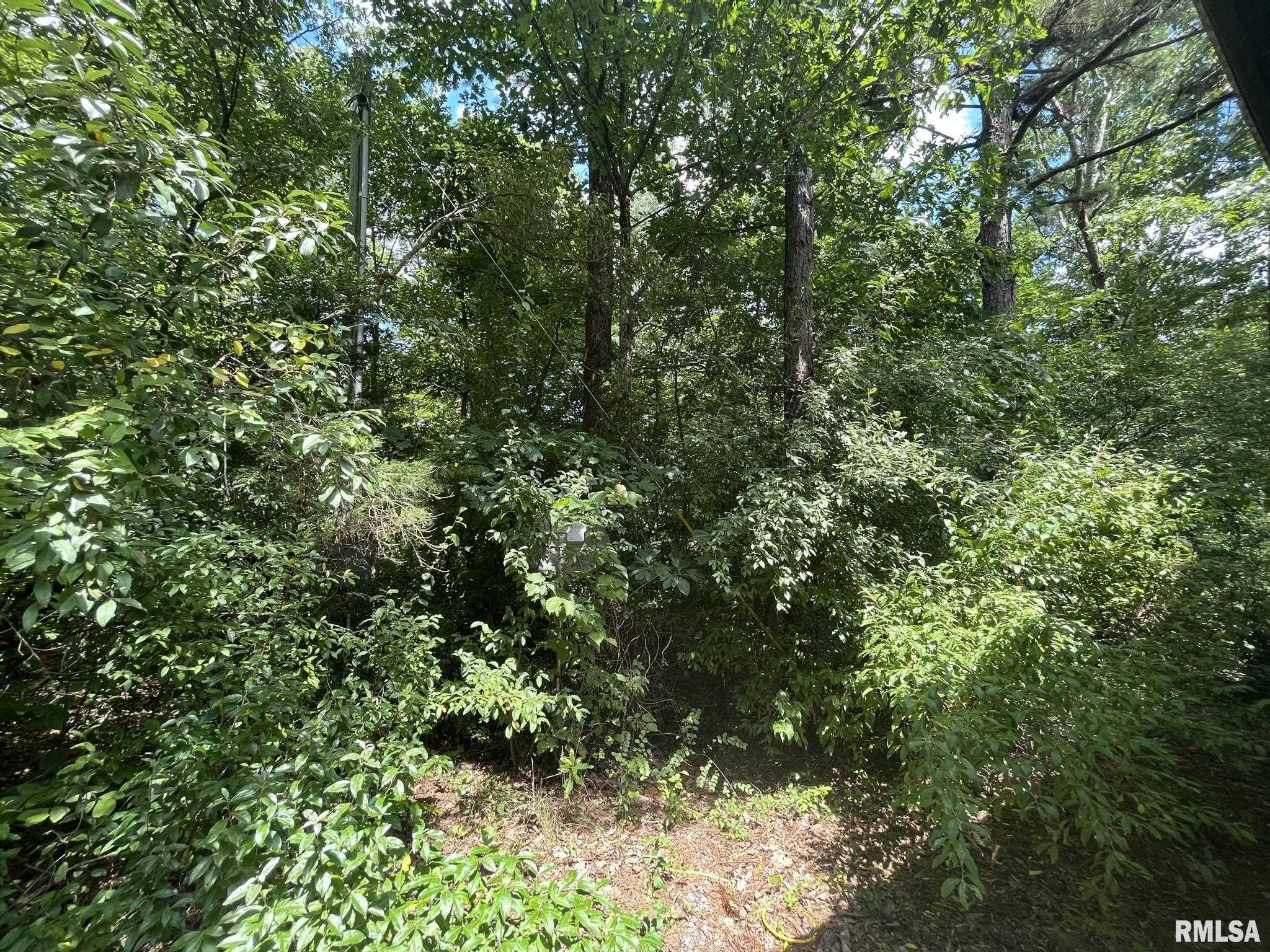 0 Lusk Road Golconda, IL 62938 - Photo 18 of 24