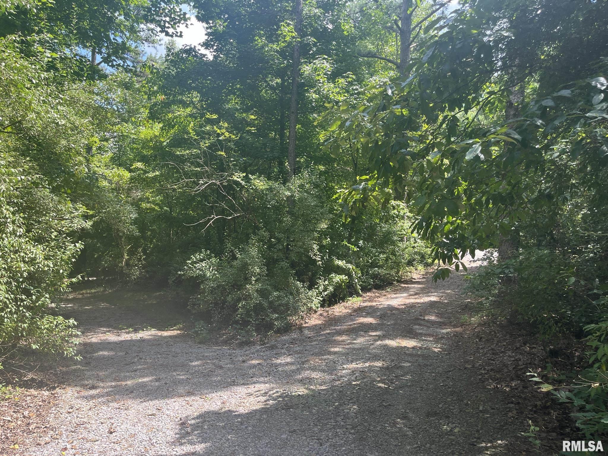 0 Lusk Road Golconda, IL 62938 - Photo 19 of 24